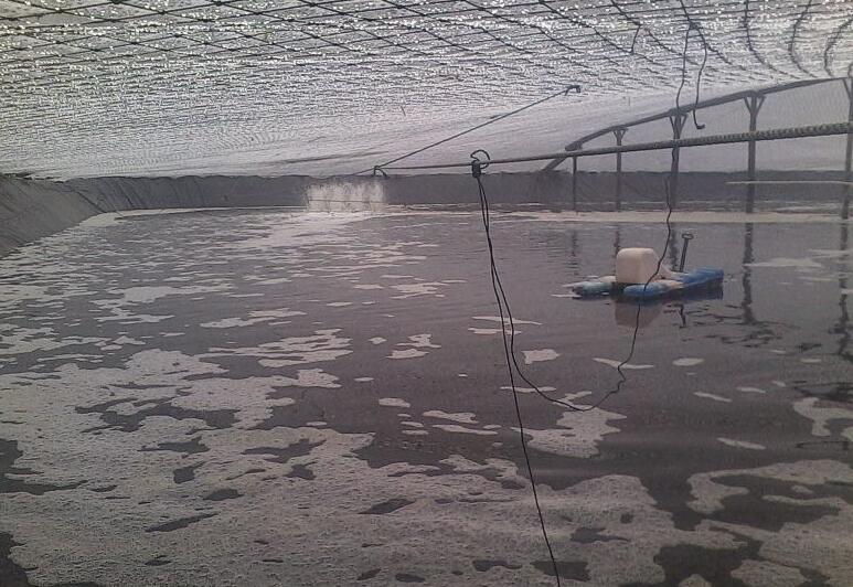 魚塘修建土工膜和混凝土哪種方法更可靠？